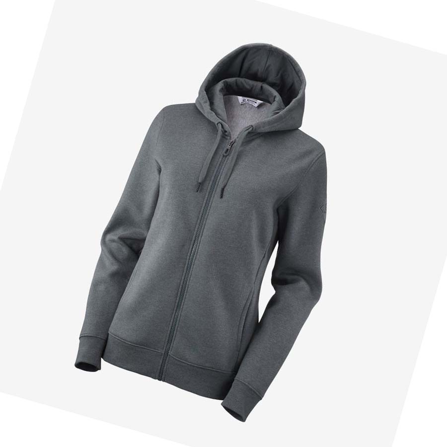 Sudadera Con Capucha Salomon ESSENTIAL WARM SALOMON Mujer Grises | MX 2515JPQ